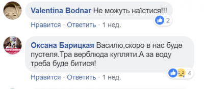 В Сети показали, как вывозят украинский лес. Видео