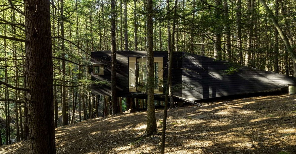 Лесной дом на дереве в США