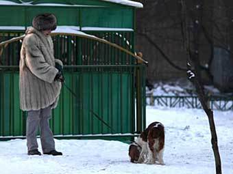 В Петербурге предложили создать партию собаководов