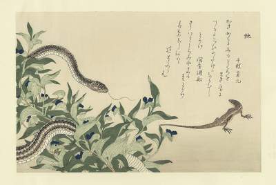 Гейши в скандальных гравюрах японского художника. Фото