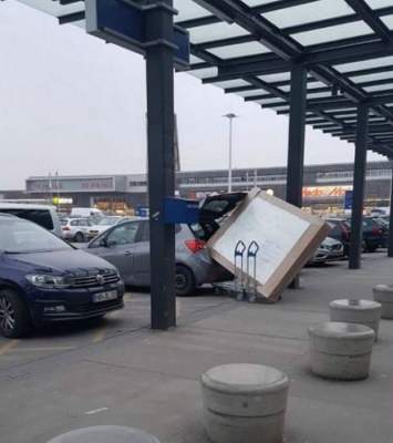 Упорство этих людей способно вызвать взрыв хохота