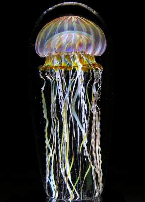 Невероятные снимки медуз. Фото