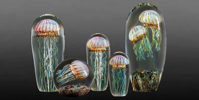 Невероятные снимки медуз. Фото