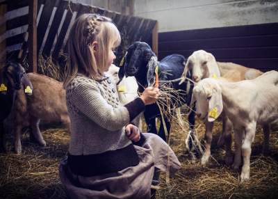 Мимишность зашкаливает: трогательная дружба между детьми и животными. Фото