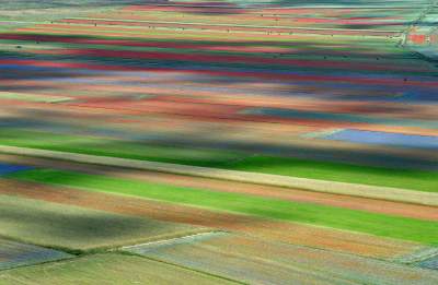 Цветущие поля Италии в ярких пейзажах. Фото