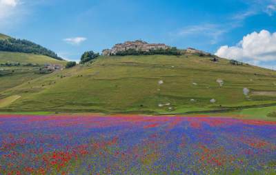Цветущие поля Италии в ярких пейзажах. Фото