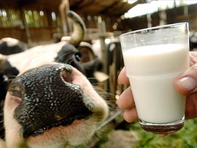 Украина попросила ветеринаров Таможенного союза проверить ее молоко и мясо 
