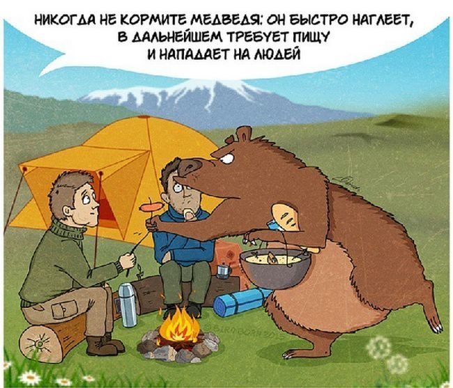 Как следует вести себя при встрече с медведем