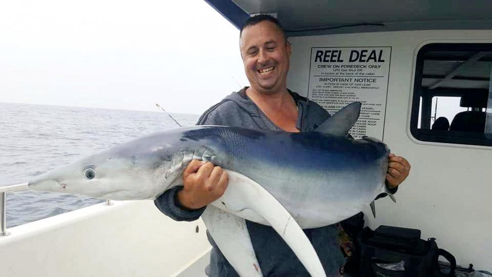 Британские рыбаки за сутки словили 20 акул