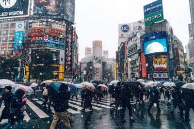 Заснеженный Токио в фотопроекте невероятной красоты. Фото