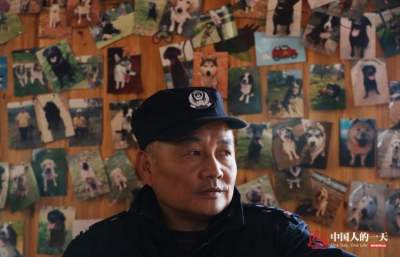 В Китае открыли приют для служебных собак в отставке. Фото