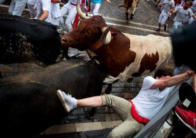 Бега быков: самый опасный в мире фестиваль. Фото 