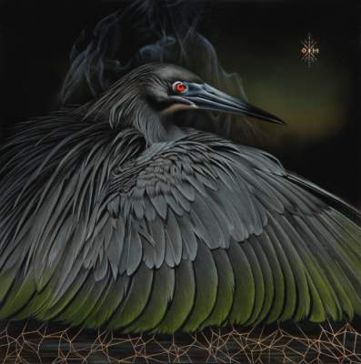 В мире дикой природы: завораживающие портреты экзотических птиц. Фото