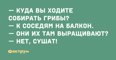 "Хороший асфальт на дороге не валяется": приколы из реальной жизни