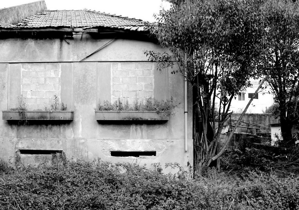 Дом из бетона и стекла в Португалии