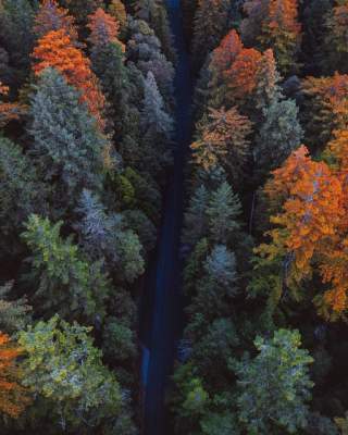 Сказочные пейзажи природы от американского фотографа. Фото
