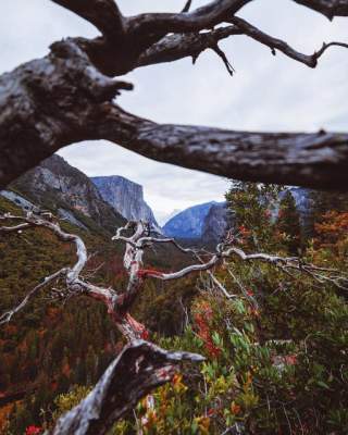 Сказочные пейзажи природы от американского фотографа. Фото