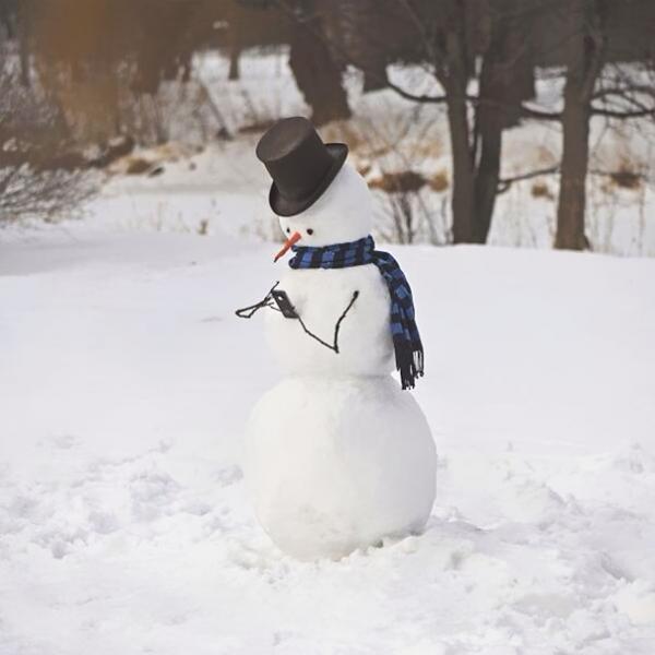 10 самых творческих и уморительных снеговиков (ФОТО)