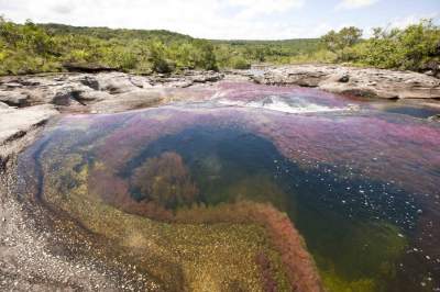 Буйство красок: так выглядит самая красивая река на земле. Фото