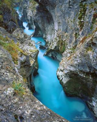 Изумрудная красавица - самая красивая река Словении. Фото