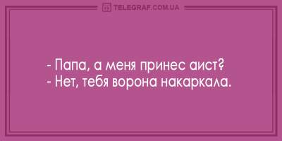 Смеемся вместе: забавные анекдоты от настоящих мастеров сарказма