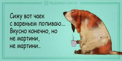 Смеемся вместе: забавные анекдоты от настоящих мастеров сарказма