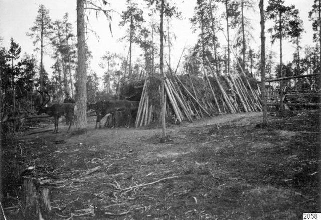 Жизнь крестьян в Архангельской губернии, 1910 год