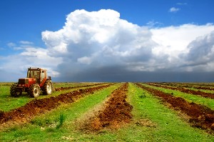 Стало известно, сколько стоит украинская земля