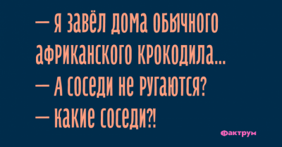 Хохот до упаду: свежая подборка "убойных" анекдотов