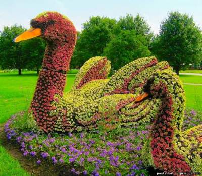 Удивительная красота: цветочные фигуры в ботаническом саду Монреаля. Фото