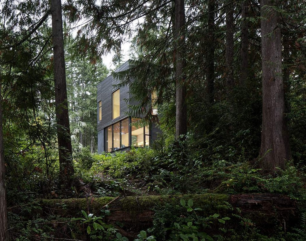 Маленький домик в лесу над фьордом в США