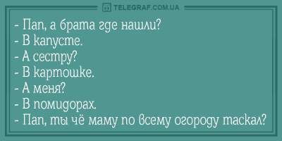 Пять минут смеха: веселые анекдоты от настоящих оптимистов