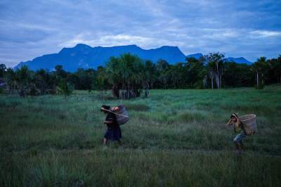 Удивительная жизнь племен в джунглях Амазонии. Фото