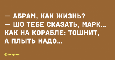 Пять минут смеха: забавные приколы от настоящих мастеров сарказма