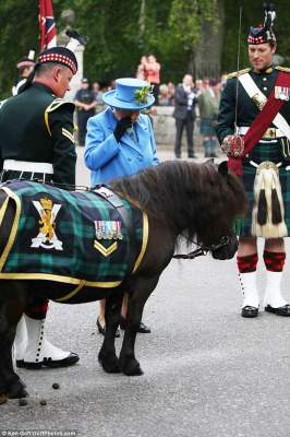 «Самый невежливый пони в мире» не сдержался перед Елизаветой II