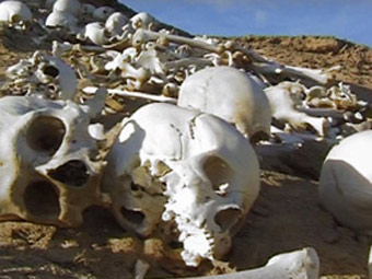 Найденное археологами массовое захоронение в Сахаре