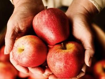 Медики назвали самый полезный фрукт для здоровья кишечника