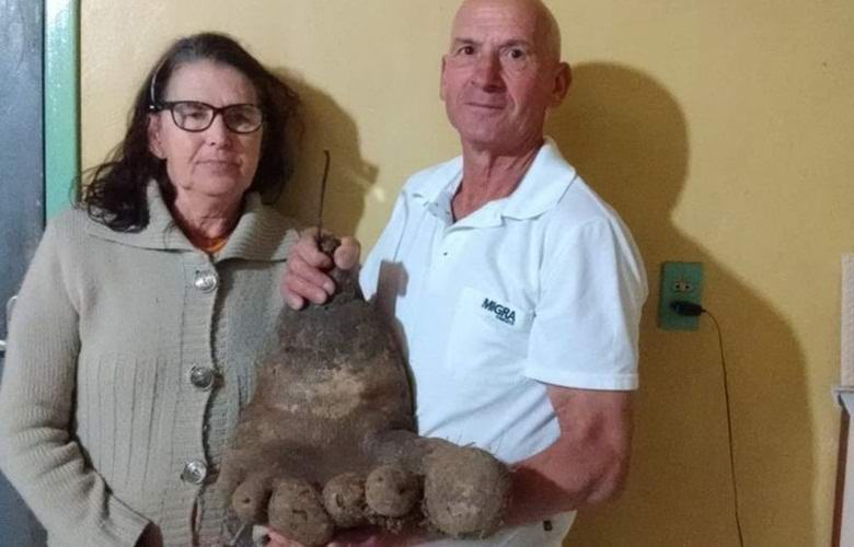 В Бразилии обнаружили «ногу великана»