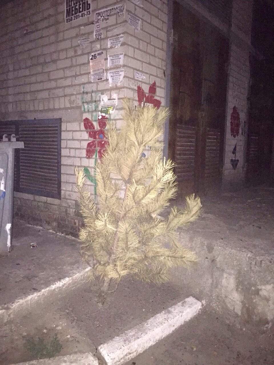 Слабак: в Запорожье выбросили еще одну новогоднюю елку