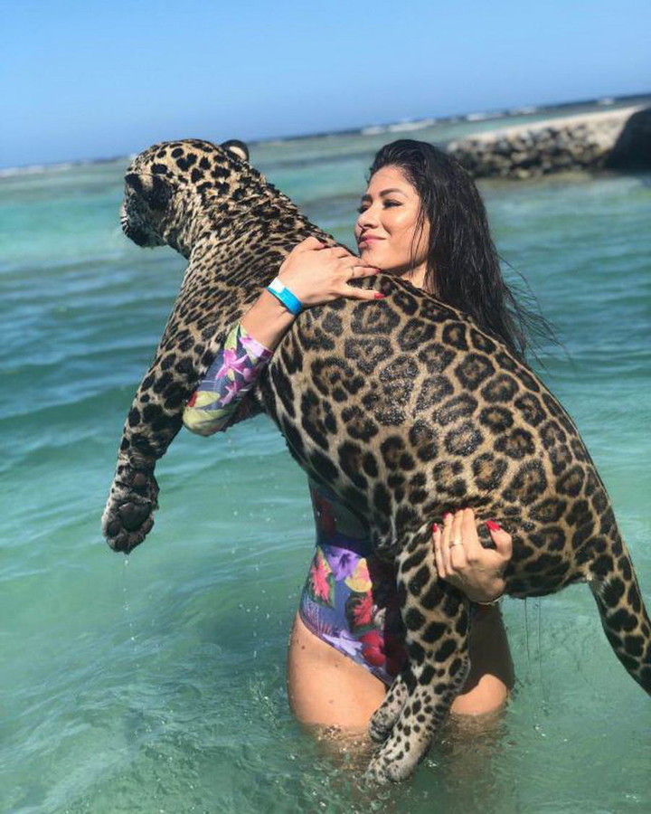 Экстремальный отдых: Курорт, где можно искупаться с пантерой и ягуаром в океане 