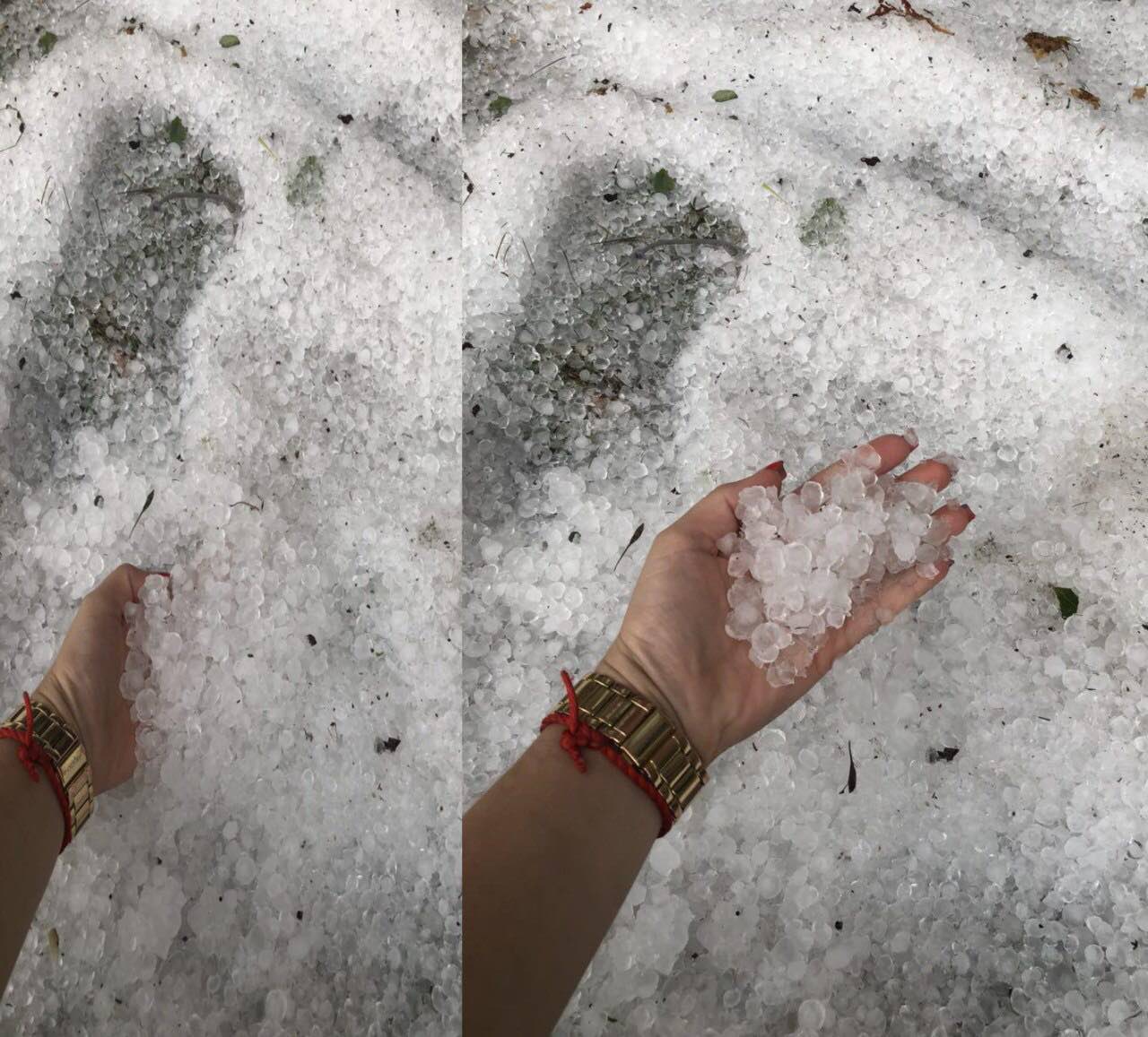 Ледяная корка: в Киев пришла зима посреди лета, опубликовано фото