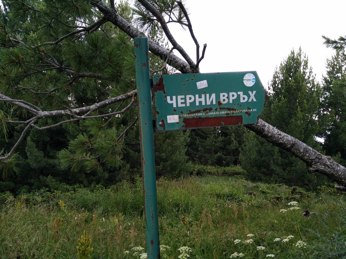 Маленькое путешествие в Болгарию: национальный парк «Витоша»