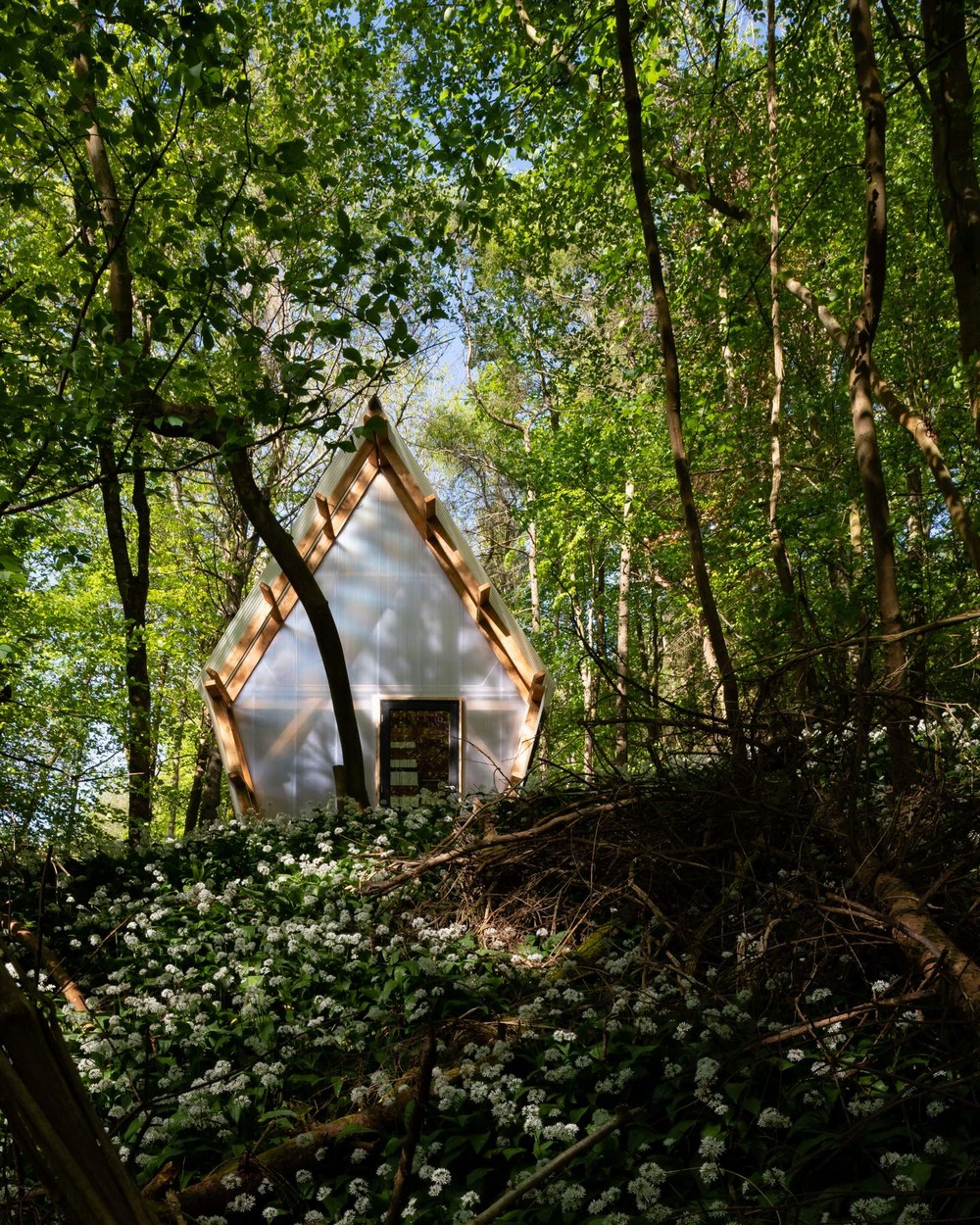 Небольшой дом-трейлер в британском лесу