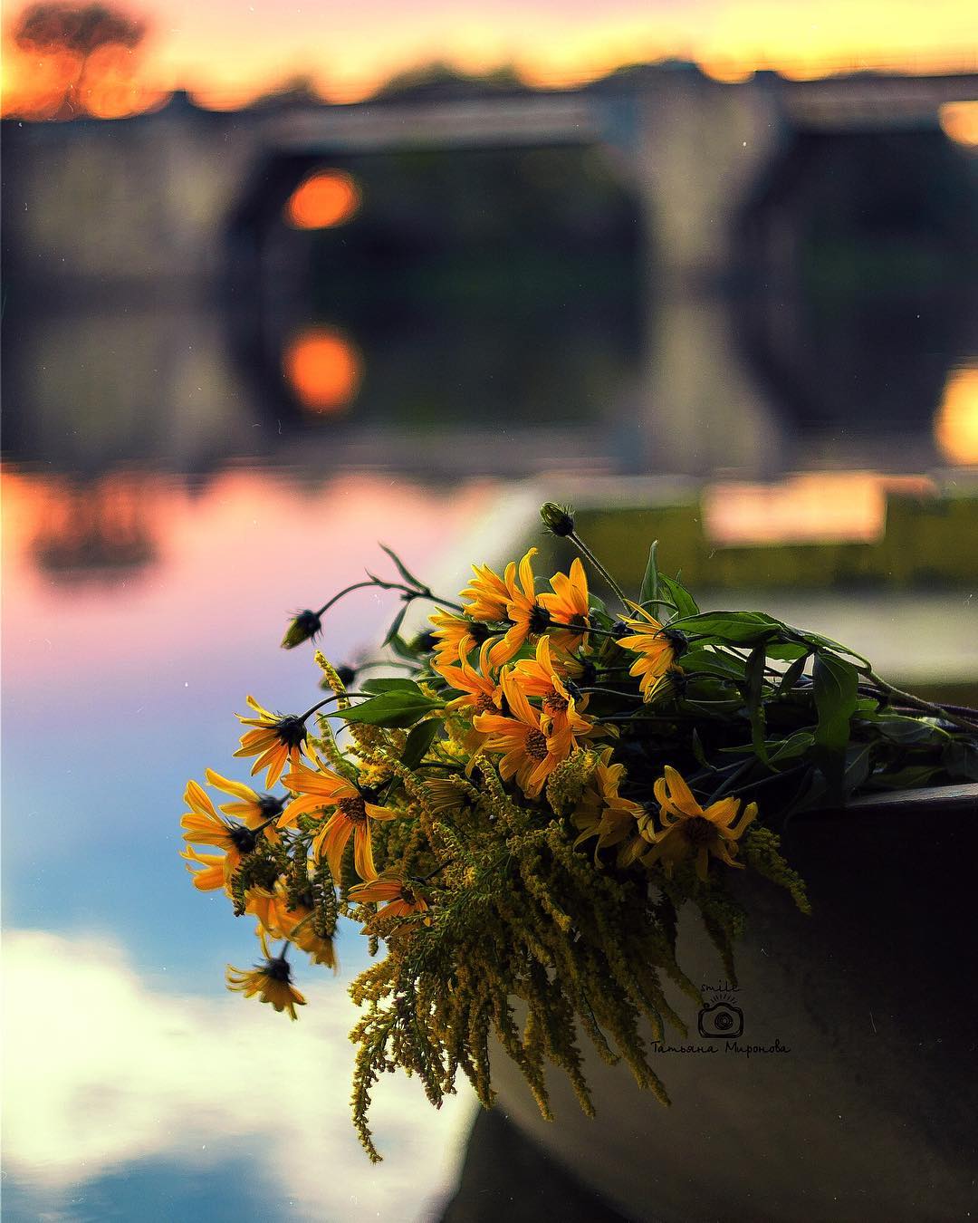 Красивые фотографии цветов от Татьяны Мироновой