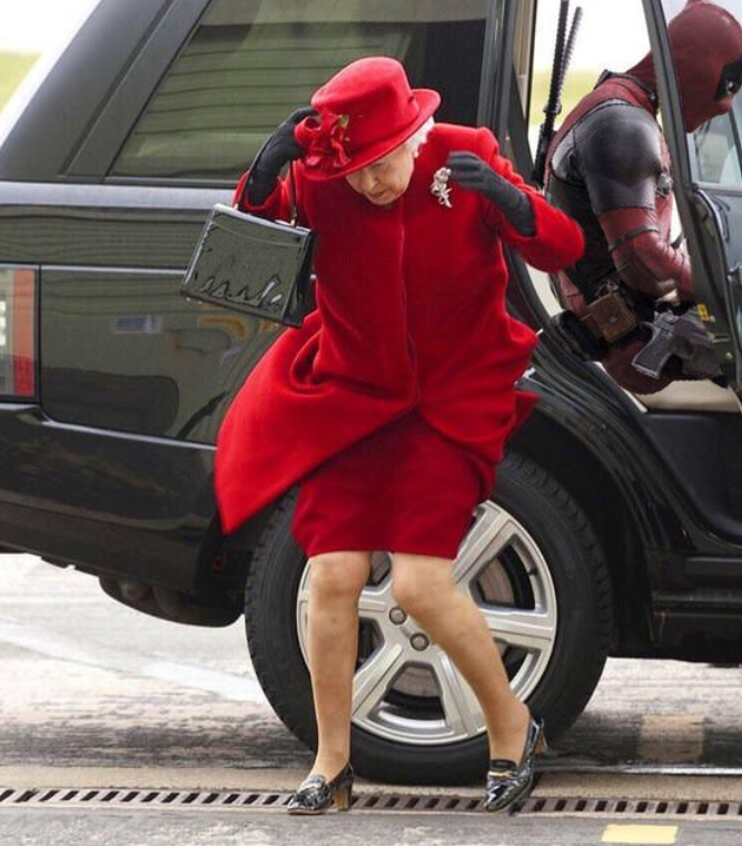 Старая фотография королевы Елизаветы II стала интернет-мемом