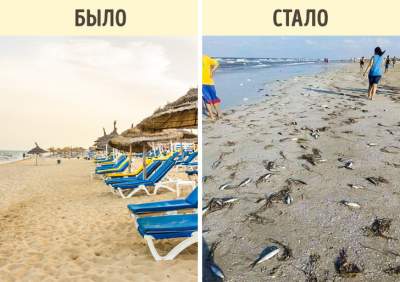 Как изменились пляжи популярных курортов за последнее время. Фото