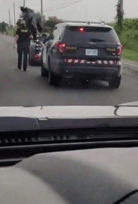 Случайные прохожие, которых не получится просто взять и забыть