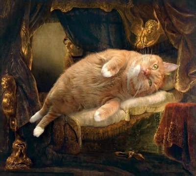 Упитанный кот смешит Instagram «усовершенствованными» шедеврами живописи