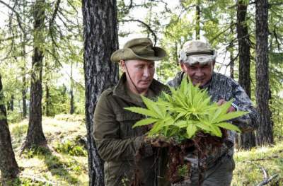 Путин дал новый повод для смешных фотожаб