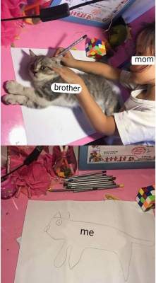 Девочка создала популярный мем, придумав странный способ нарисовать кота 